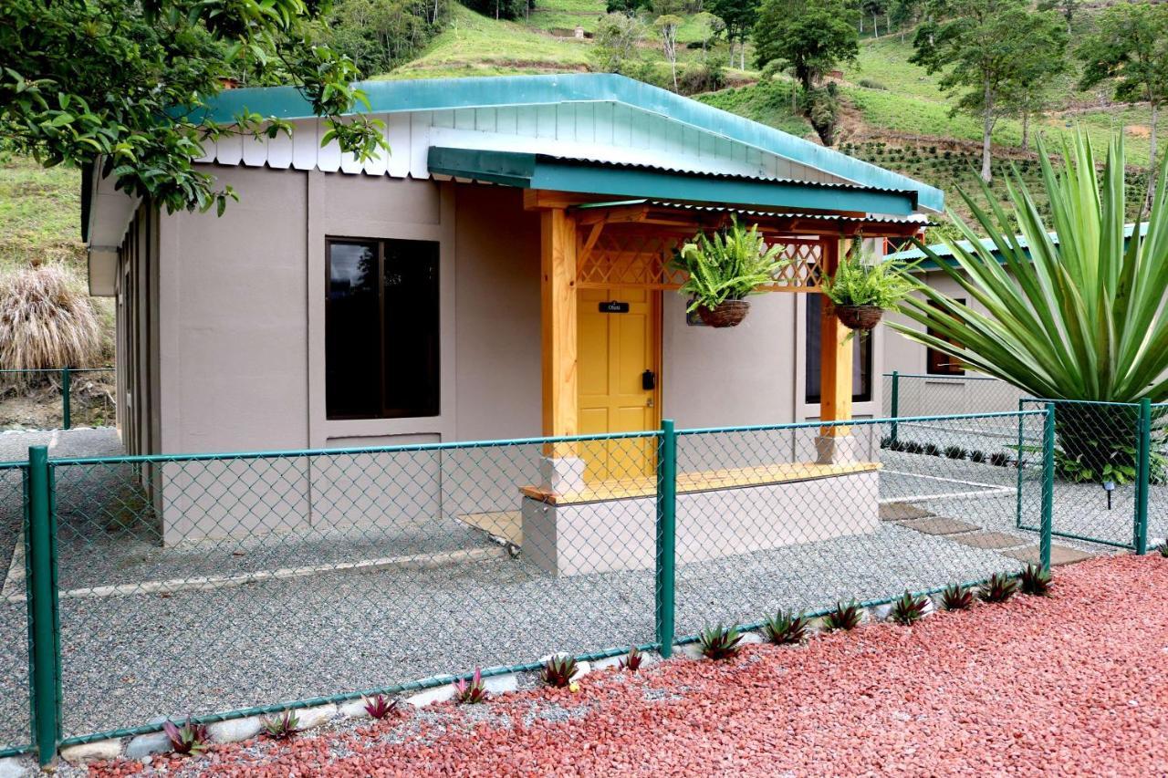 Coffee Pickers Village By Hacienda Orosi Cartago Zewnętrze zdjęcie